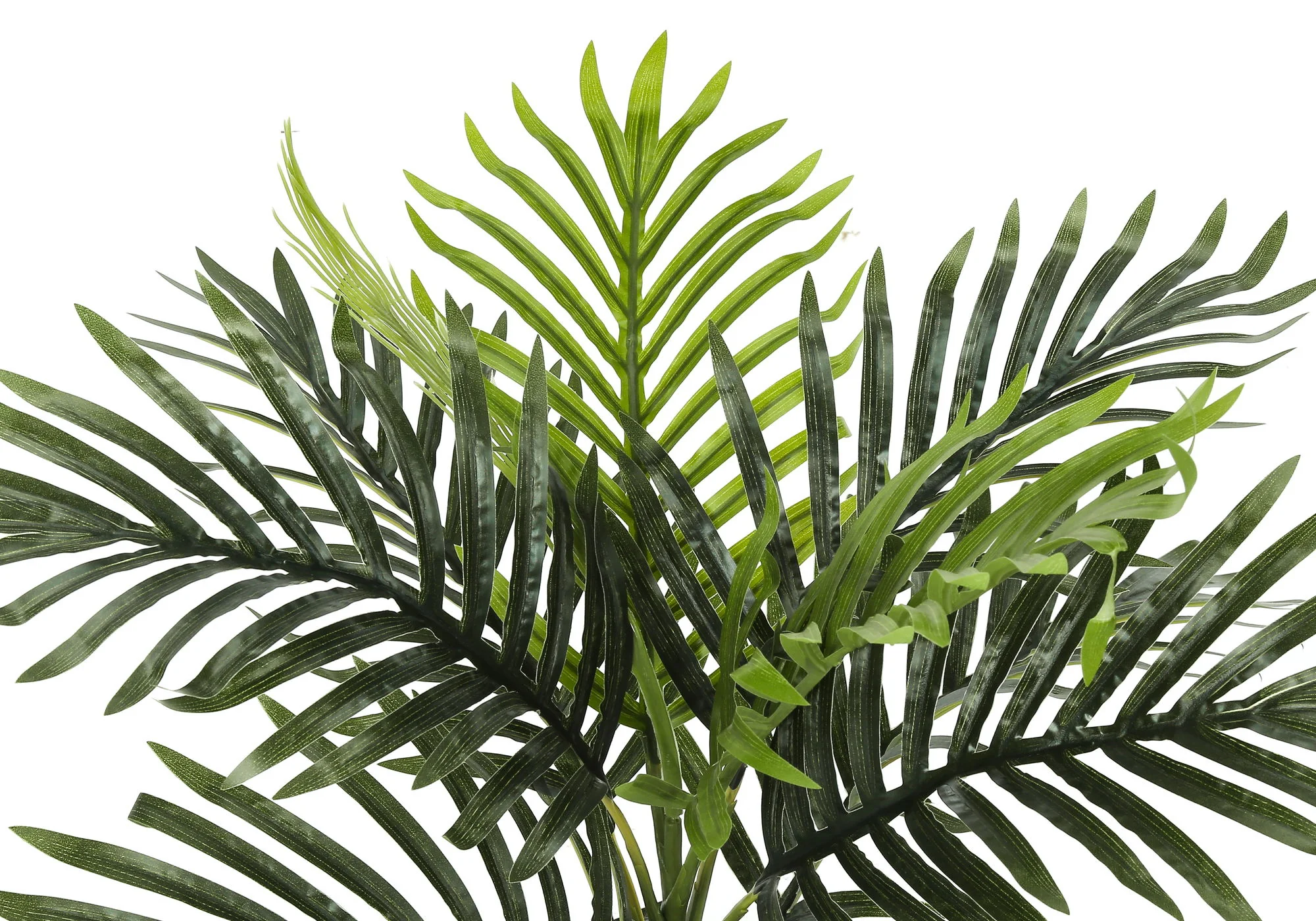 20" Tall, Artificial Plant, Palm, Indoor, Faux, Fake, Table, Greenery, Potted, Real Touch, Decorative - Green / Black - Image 5