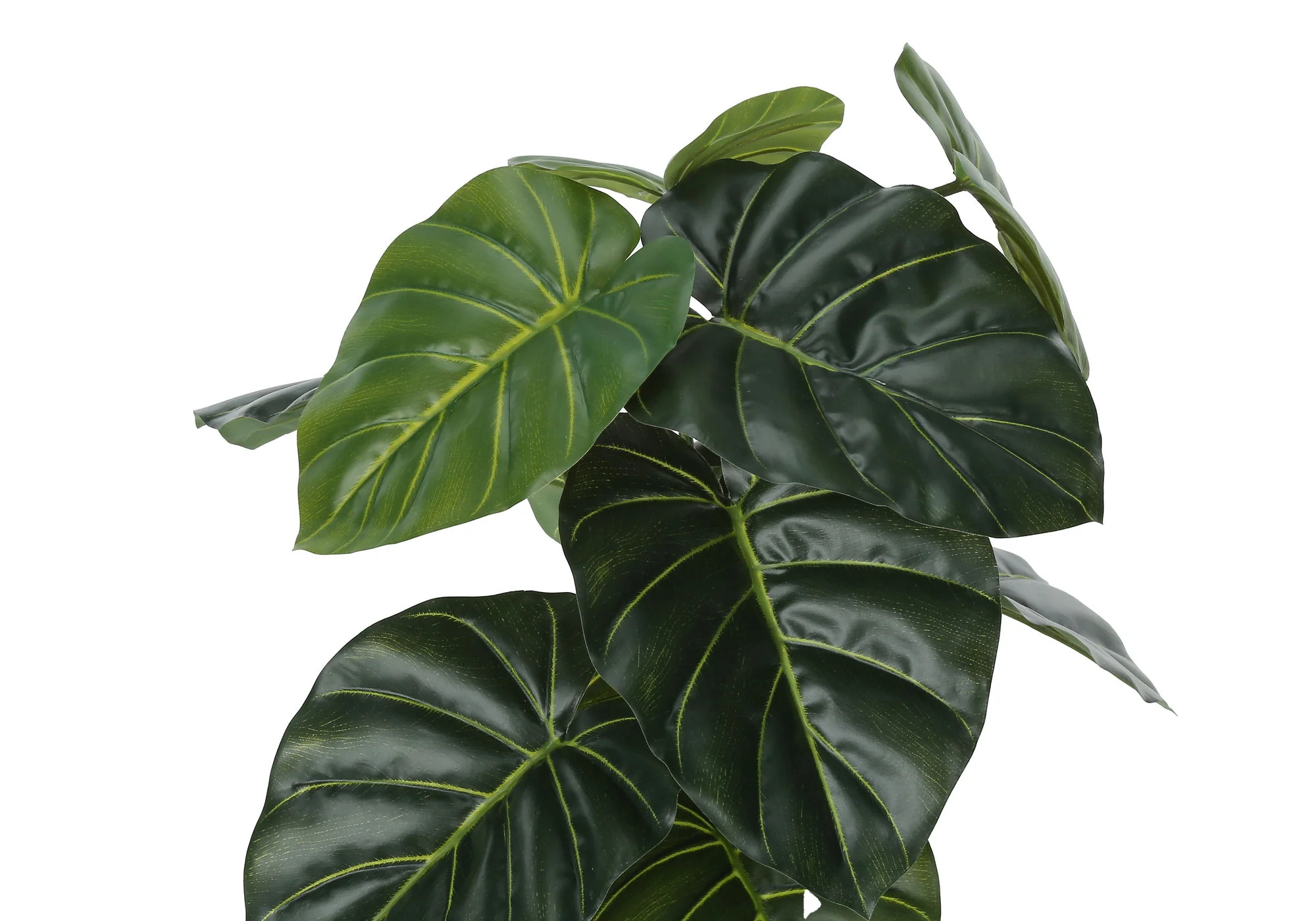 24" Tall, Artificial Plant, Alocasia, Indoor, Faux, Fake, Table, Greenery, Potted, Real Touch, Decorative - Green / Black - Image 4