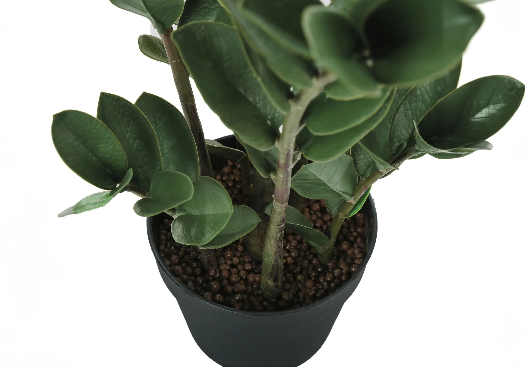 29" Tall, Artificial Plant, Zz Tree, Indoor, Faux, Fake, Floor, Greenery, Potted, Real Touch, Decorative - Green / Black - Image 6