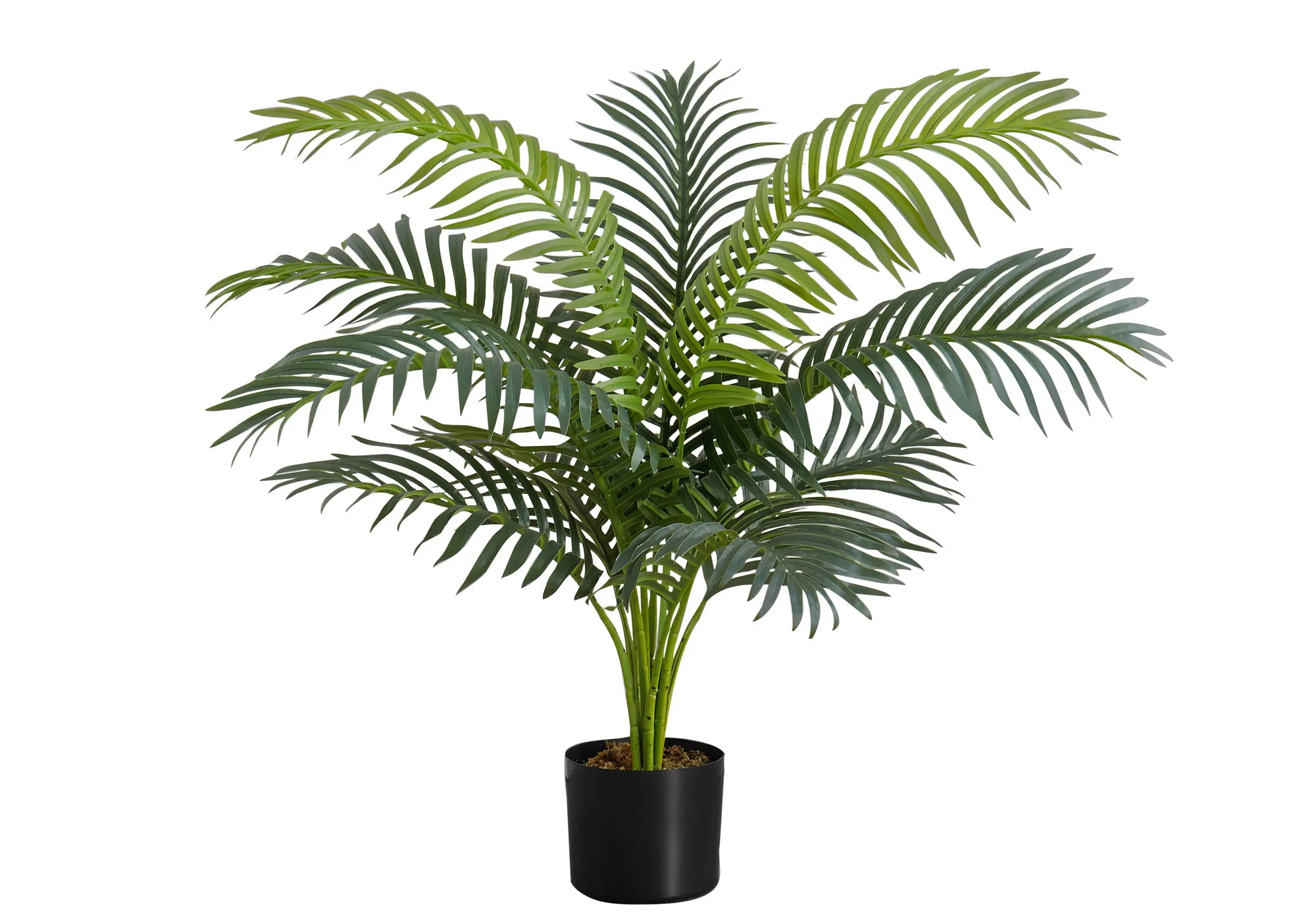 34" Tall, Artificial Plant, Palm Tree, Indoor, Faux, Fake, Floor, Greenery, Potted, Real Touch, Decorative - Green / Black - Image 5