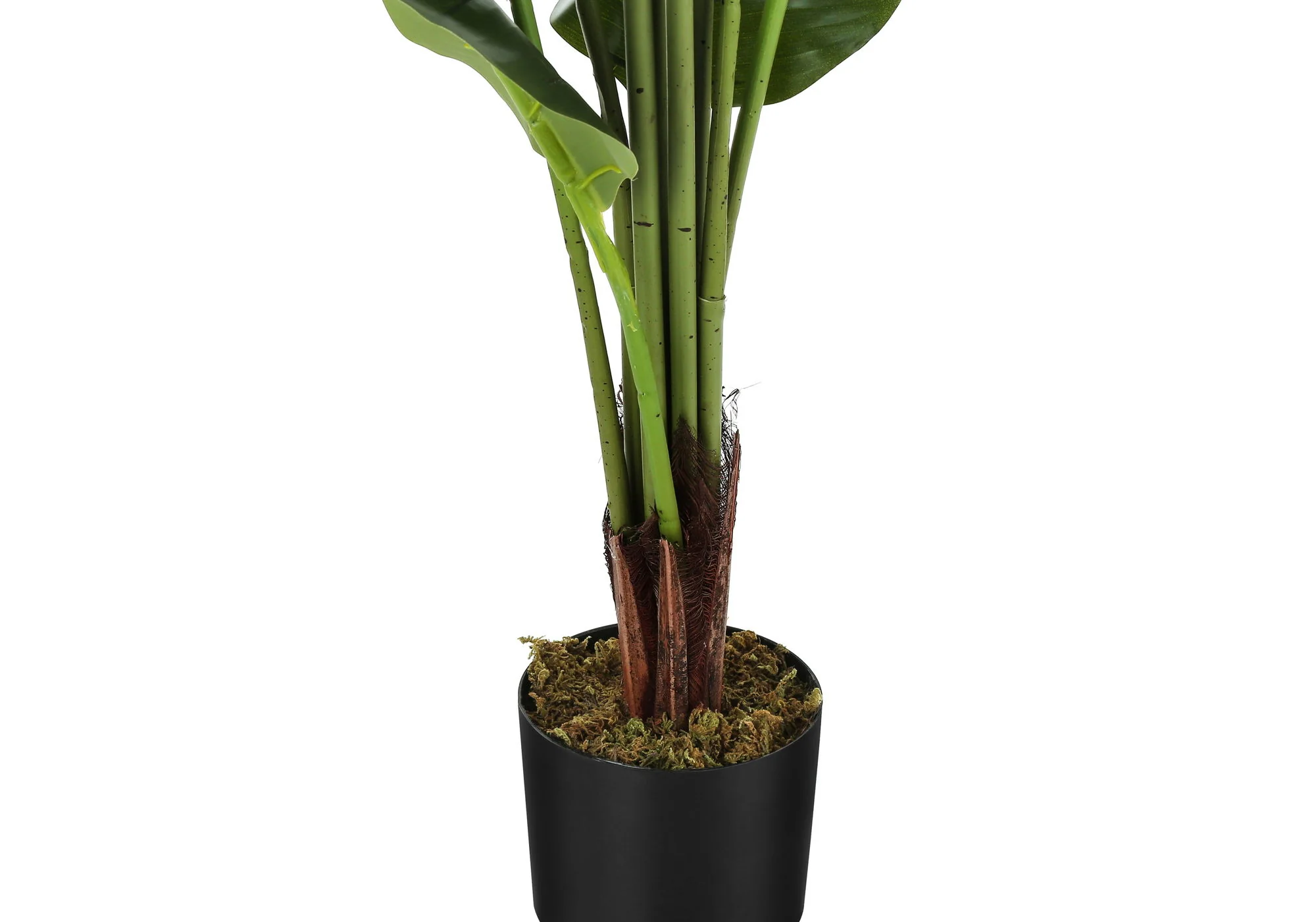 59" Tall, Artificial Plant, Strelitzia Tree, Indoor, Faux, Fake, Floor, Greenery, Potted, Real Touch, Decorative - Green / Black - Image 5