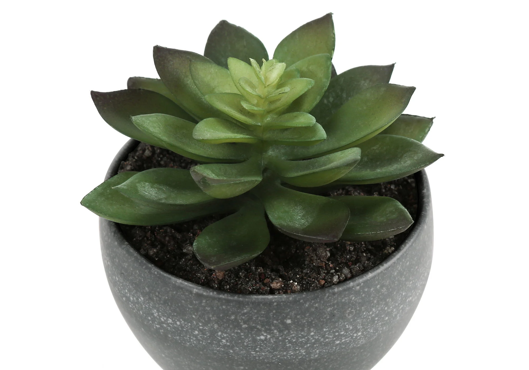 6" Tall, Artificial Plant, Succulent, Indoor, Faux, Fake, Table, Greenery, Potted, Decorative (Set of 3) - Green / Gray - Image 2