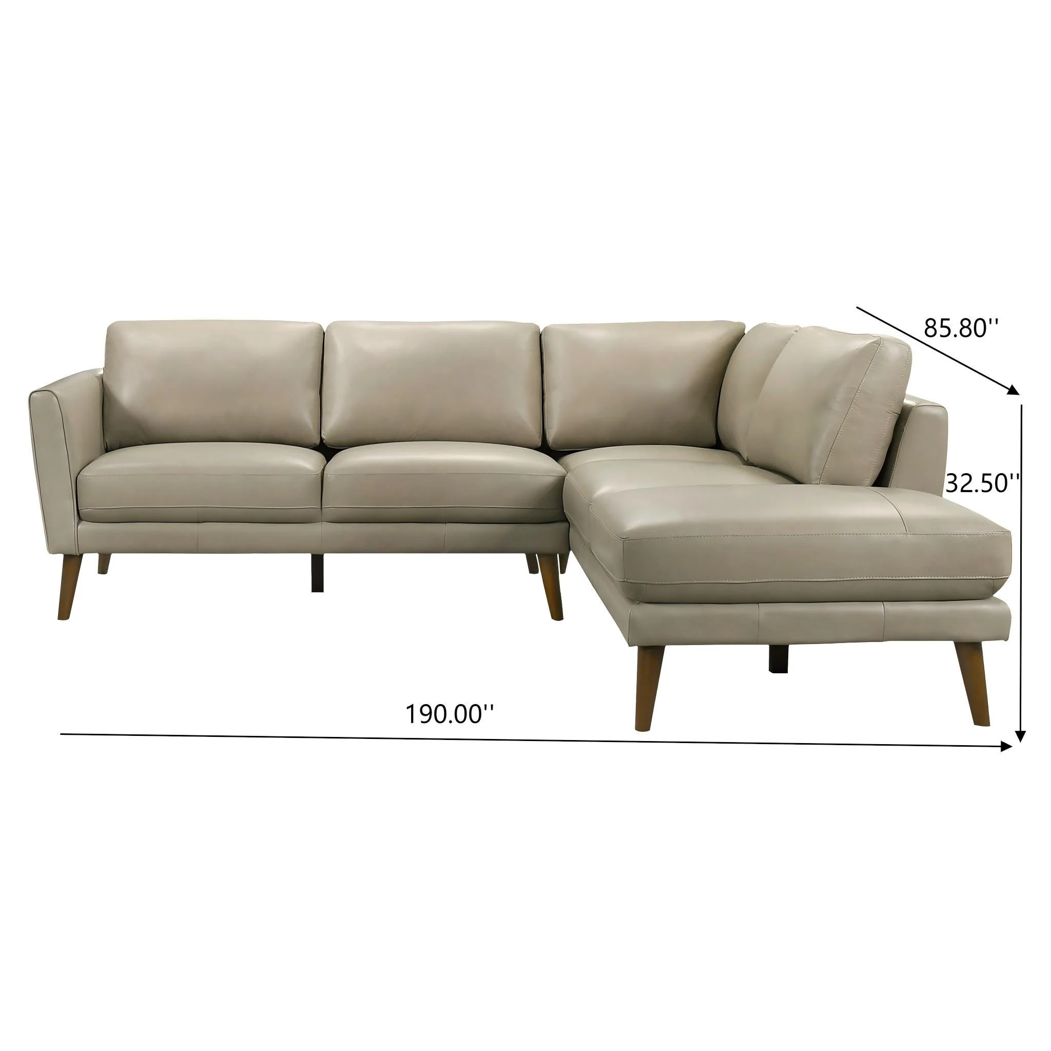 Benson - Sectional Sofa With Chaise - Image 14