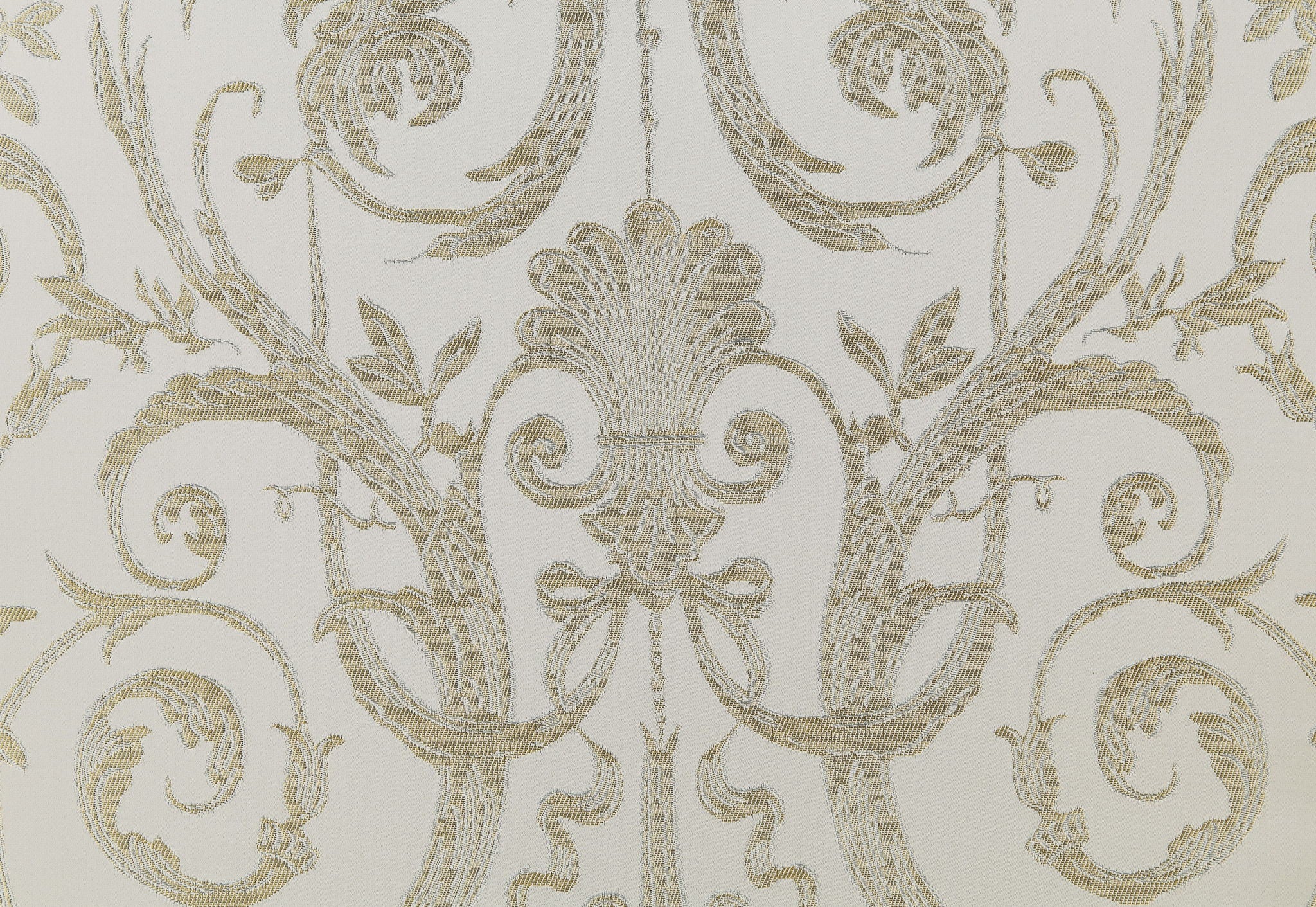 Bently - Arm Chair (Set of 2) - Champagne - Image 3