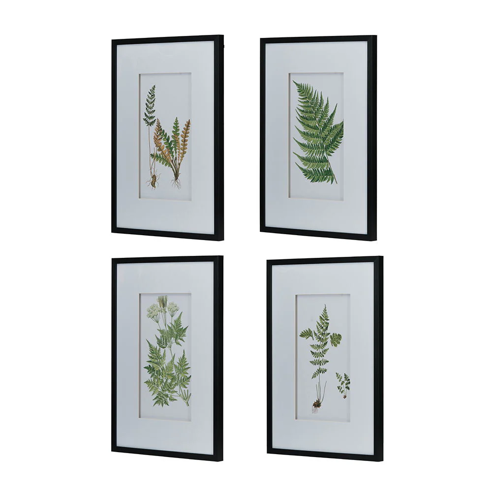 Botanical And Fern Wall Art, Wall Decor For Living Room Dining Room Entryway (Set of 4) - White / Black - Image 9