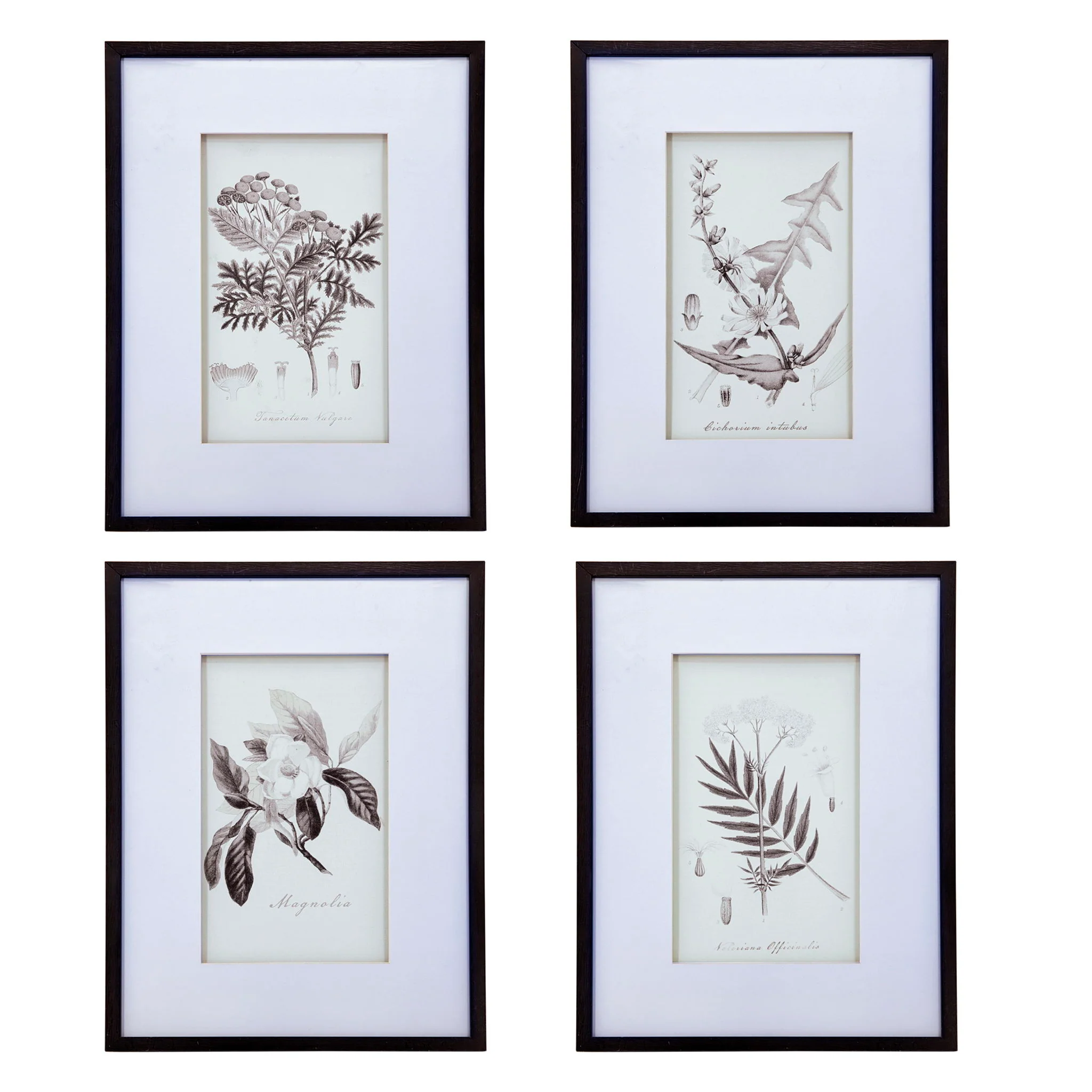 Botanical Wall Art Prints, Home Decor For Living Room Dining Room, Bedroom, Hallway (Set of 4) - White / Black - Image 7