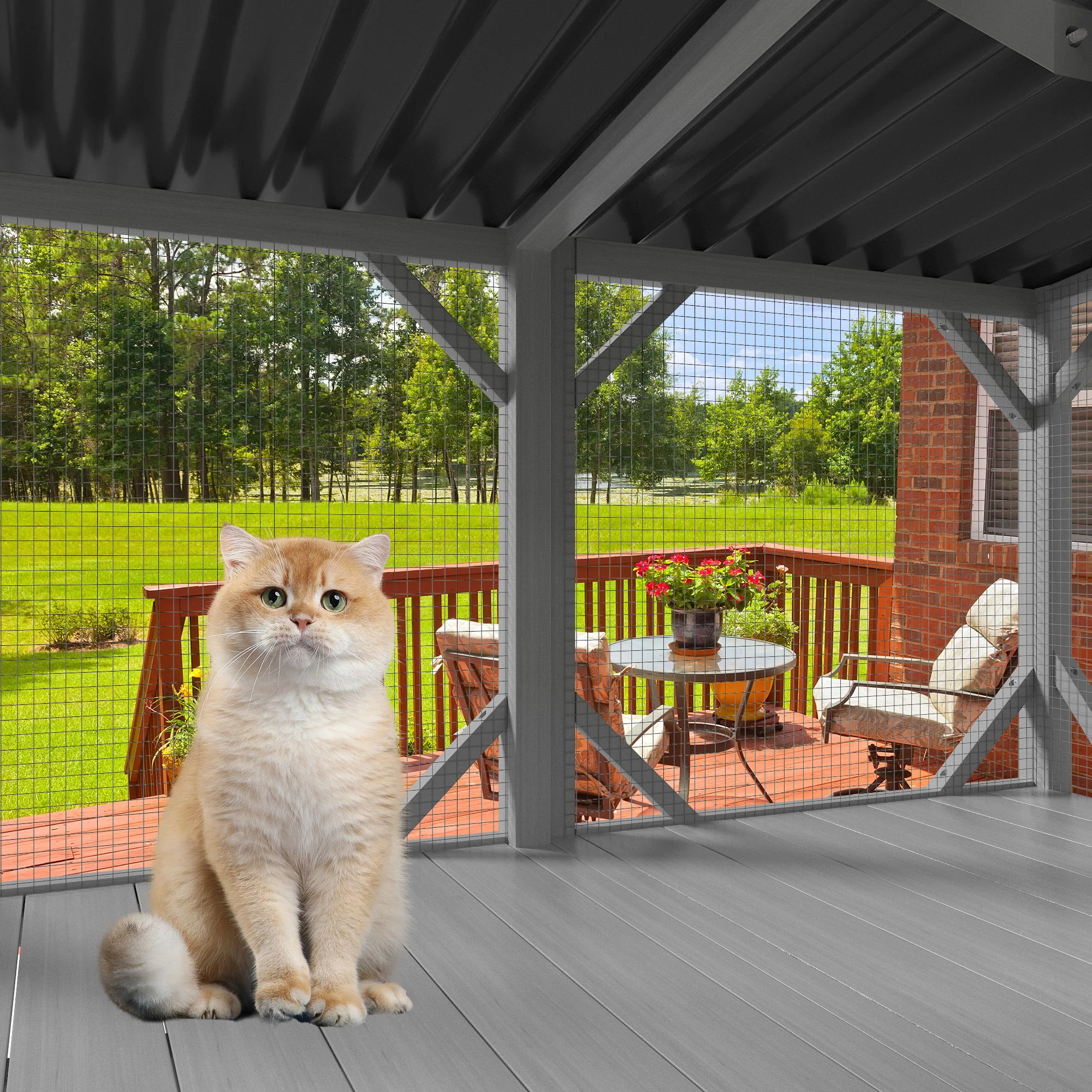 Cat Window Box - Image 8