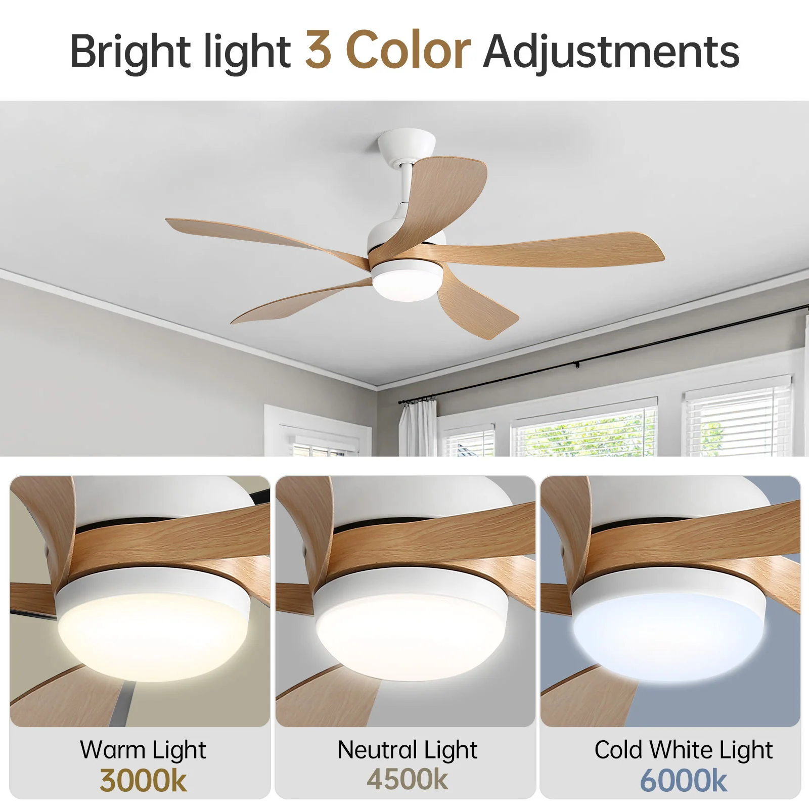 Ceiling Fan & DC Motor And Integrated Light - Image 18
