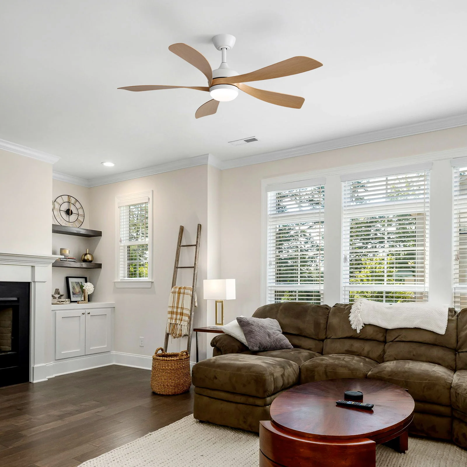 Ceiling Fan & DC Motor And Integrated Light - Image 7