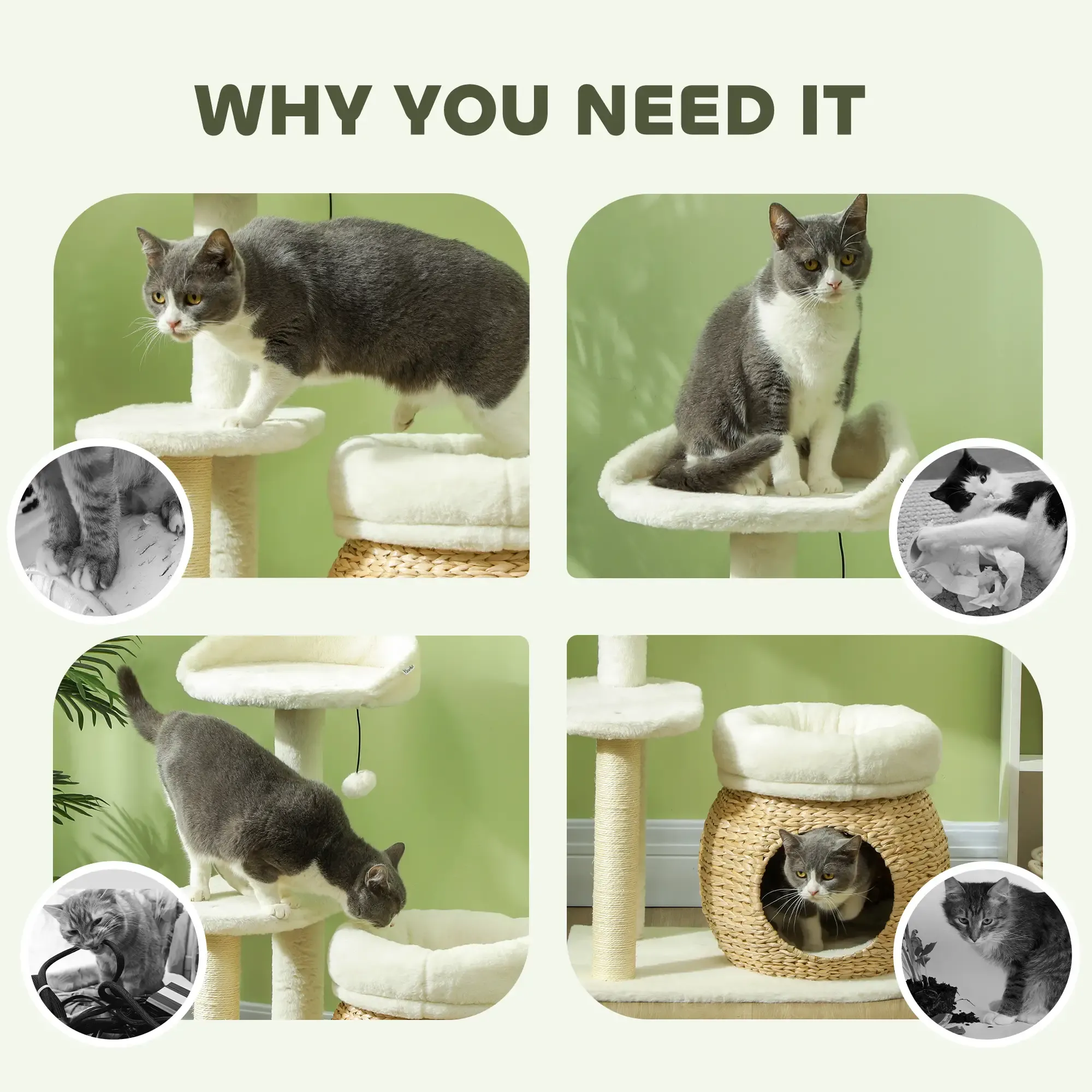 Celia 31-Inch Modern Cat Tree with Woven Cattail Condo and Bunny Velvet Beds - Image 9