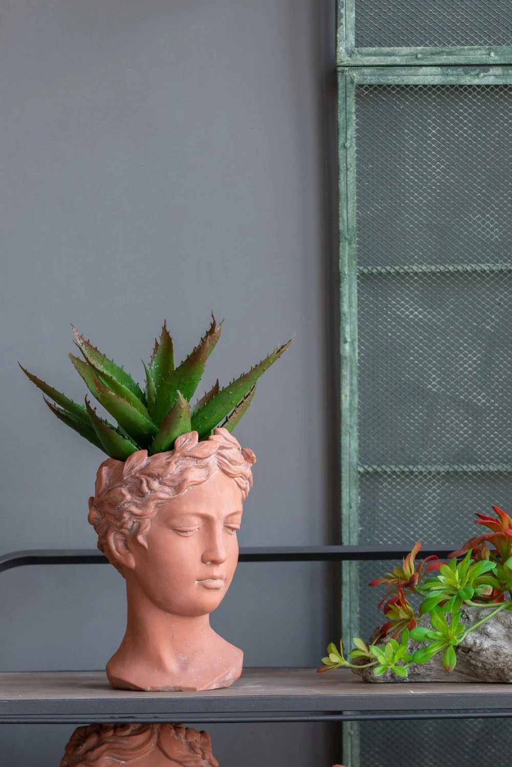 D6X9" Visage Head Bust Planter - Brown - Image 7
