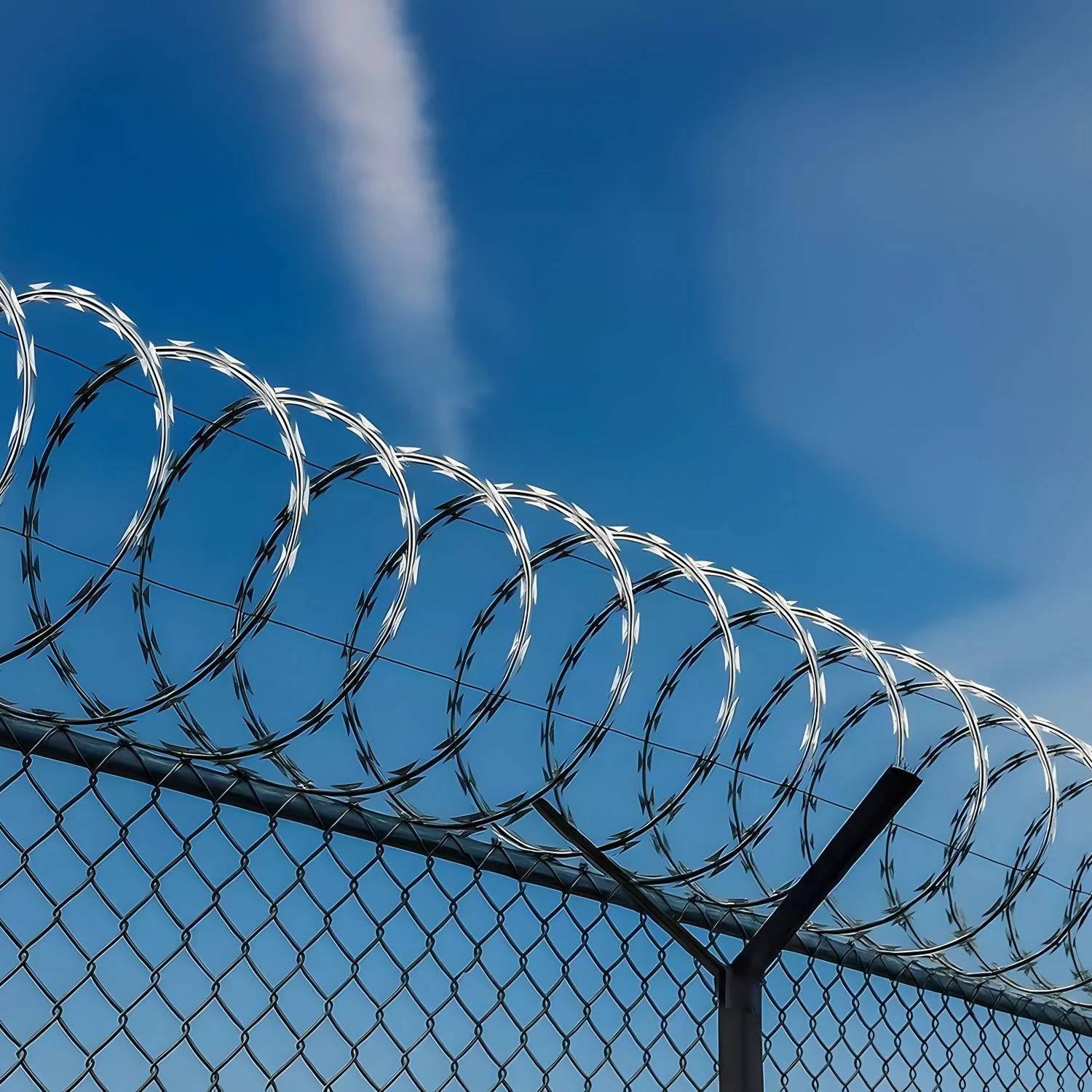 Galvanized Barbed Wire Fence Roll, Security Fencing With Sharp Razor Edges - Image 2