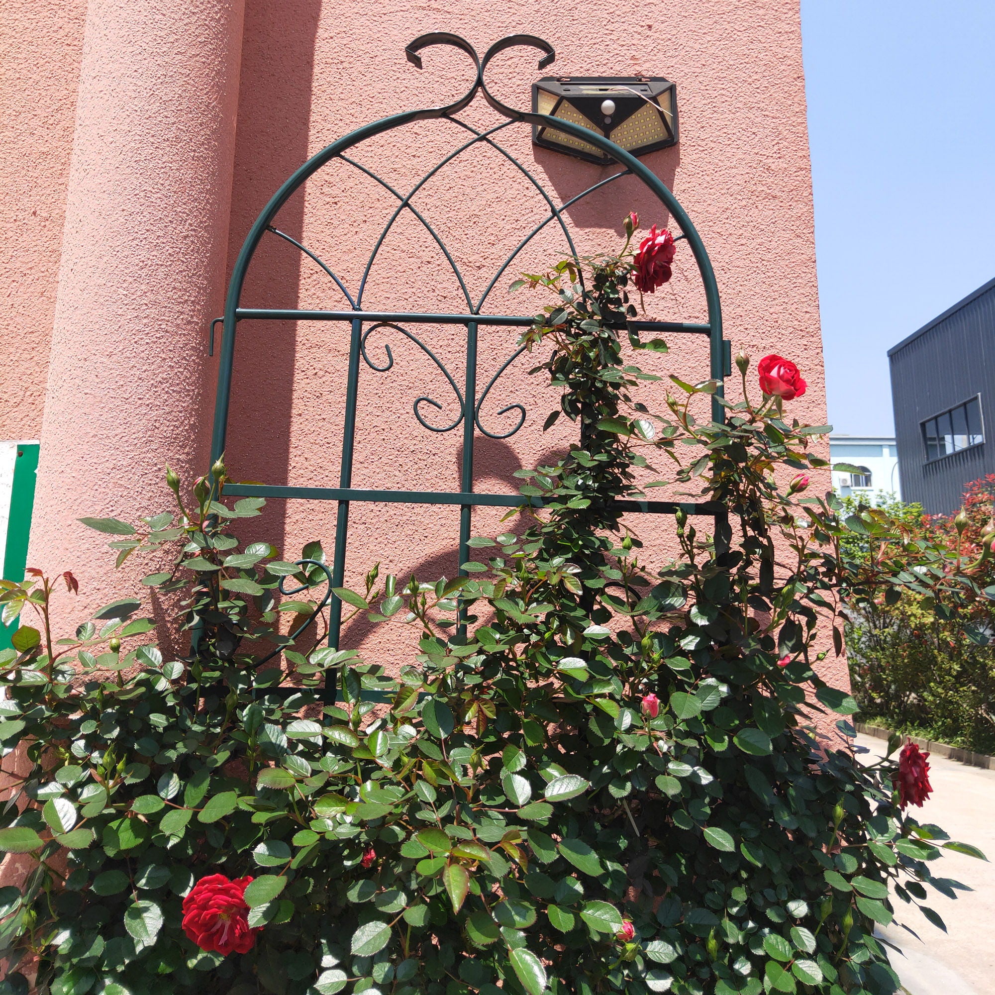 Metal Garden Rustproof Trellis For Climbing Plants Outdoor Flower Support - Image 27