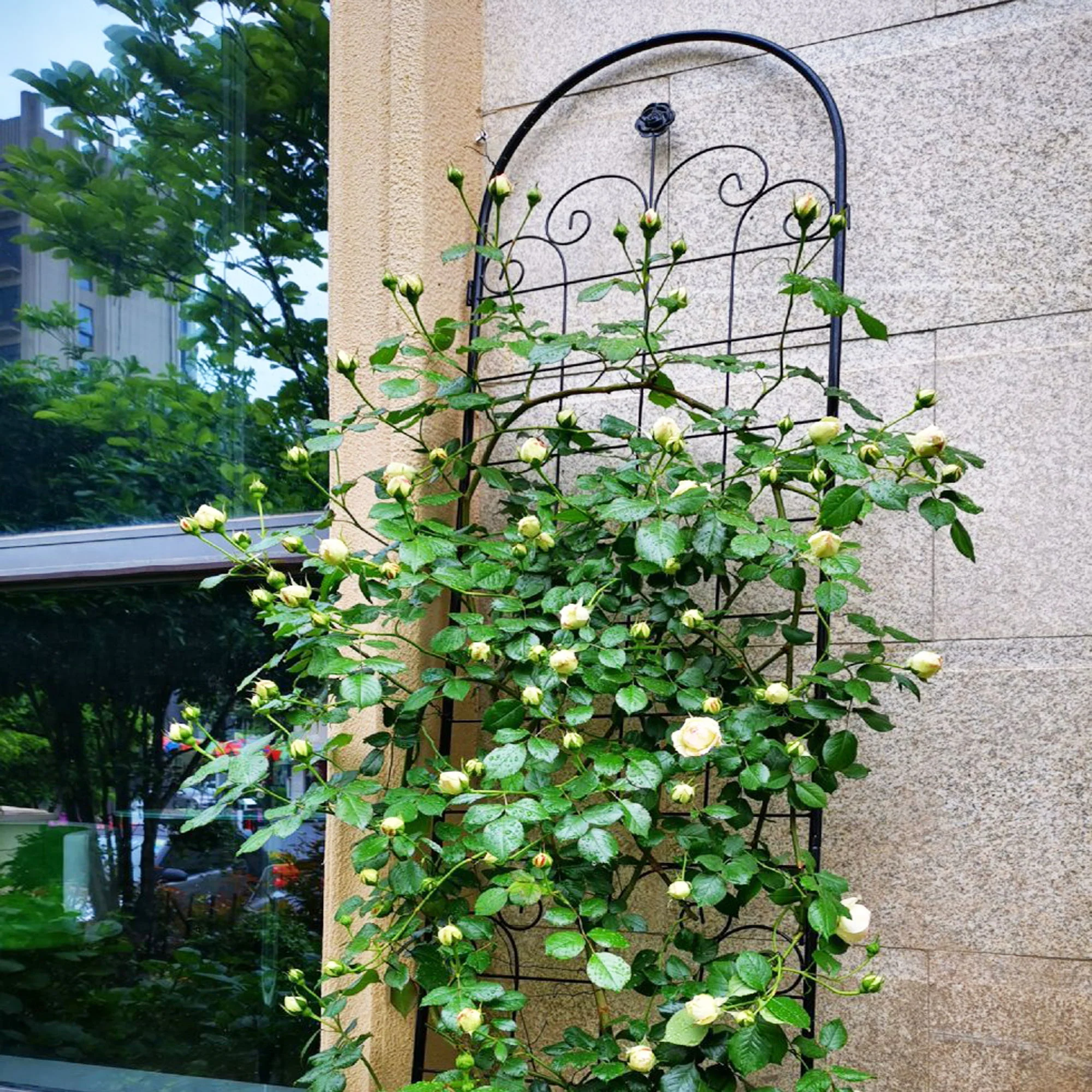 Metal Garden Trellis For Climbing Plants Outdoor Rustproof Plant Support Rose Trellis Netting Trellis - Image 2