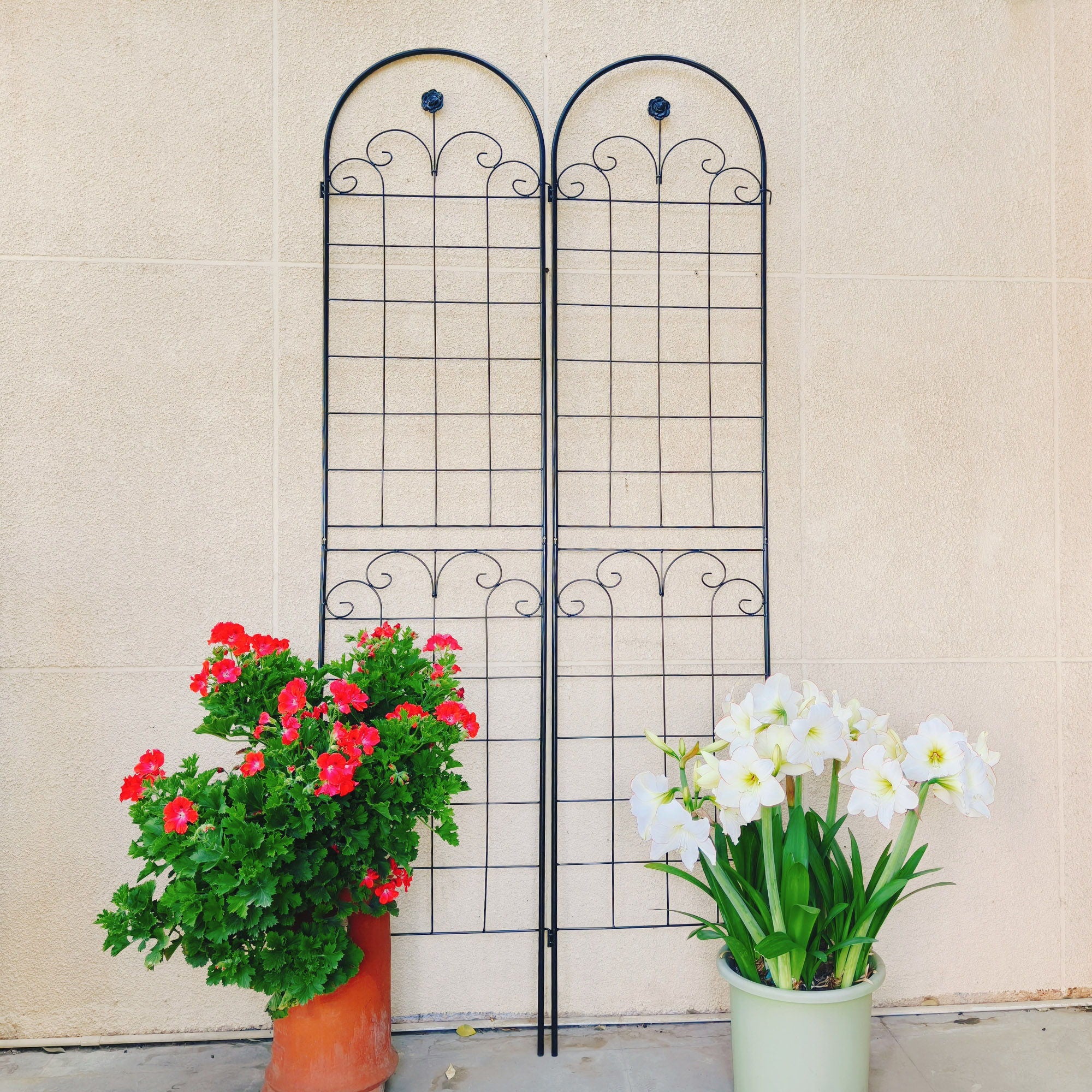 Metal Garden Trellis For Climbing Plants Outdoor Rustproof Plant Support Rose Trellis Netting Trellis - Image 4