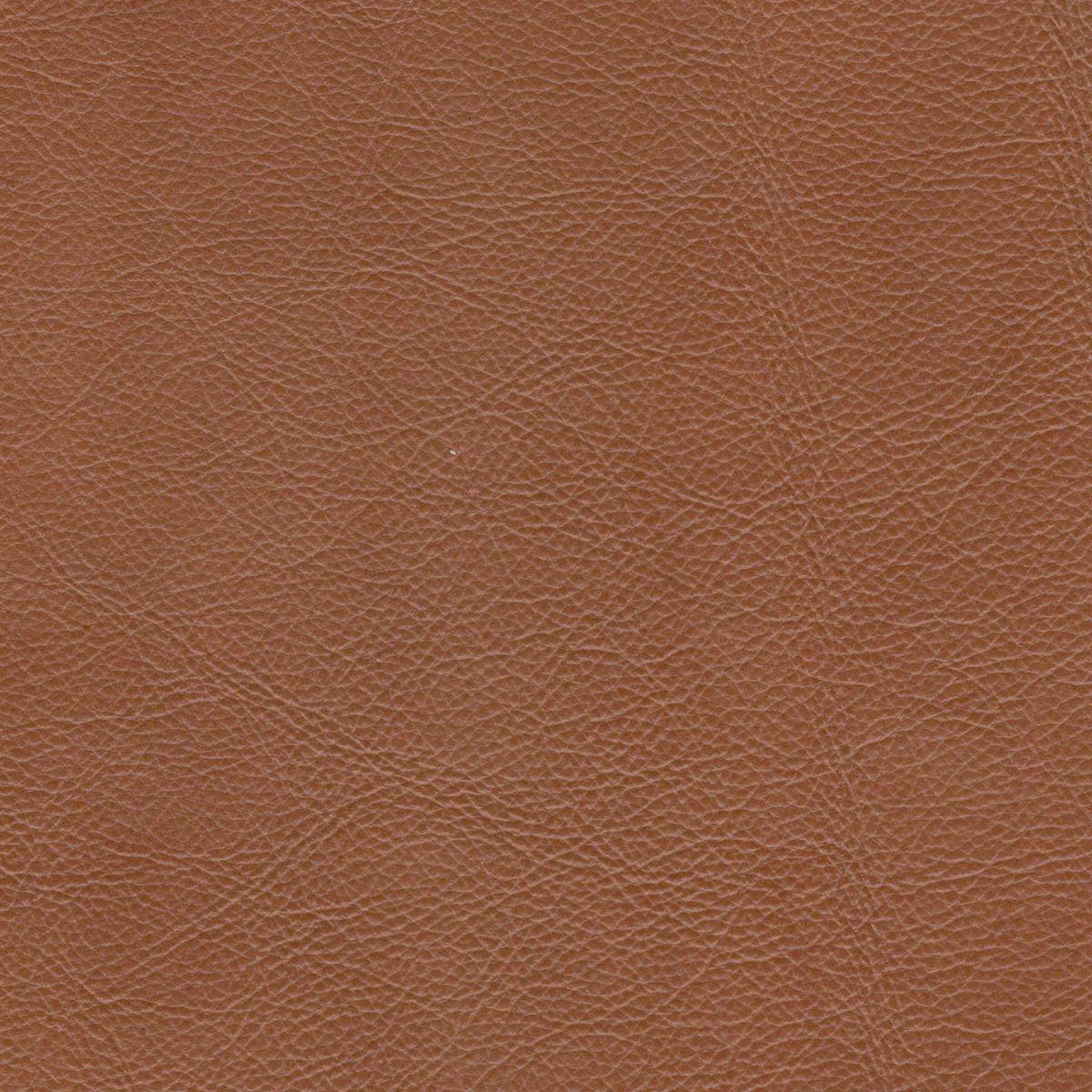 Mid-Century Tufted, Sofa - Image 6