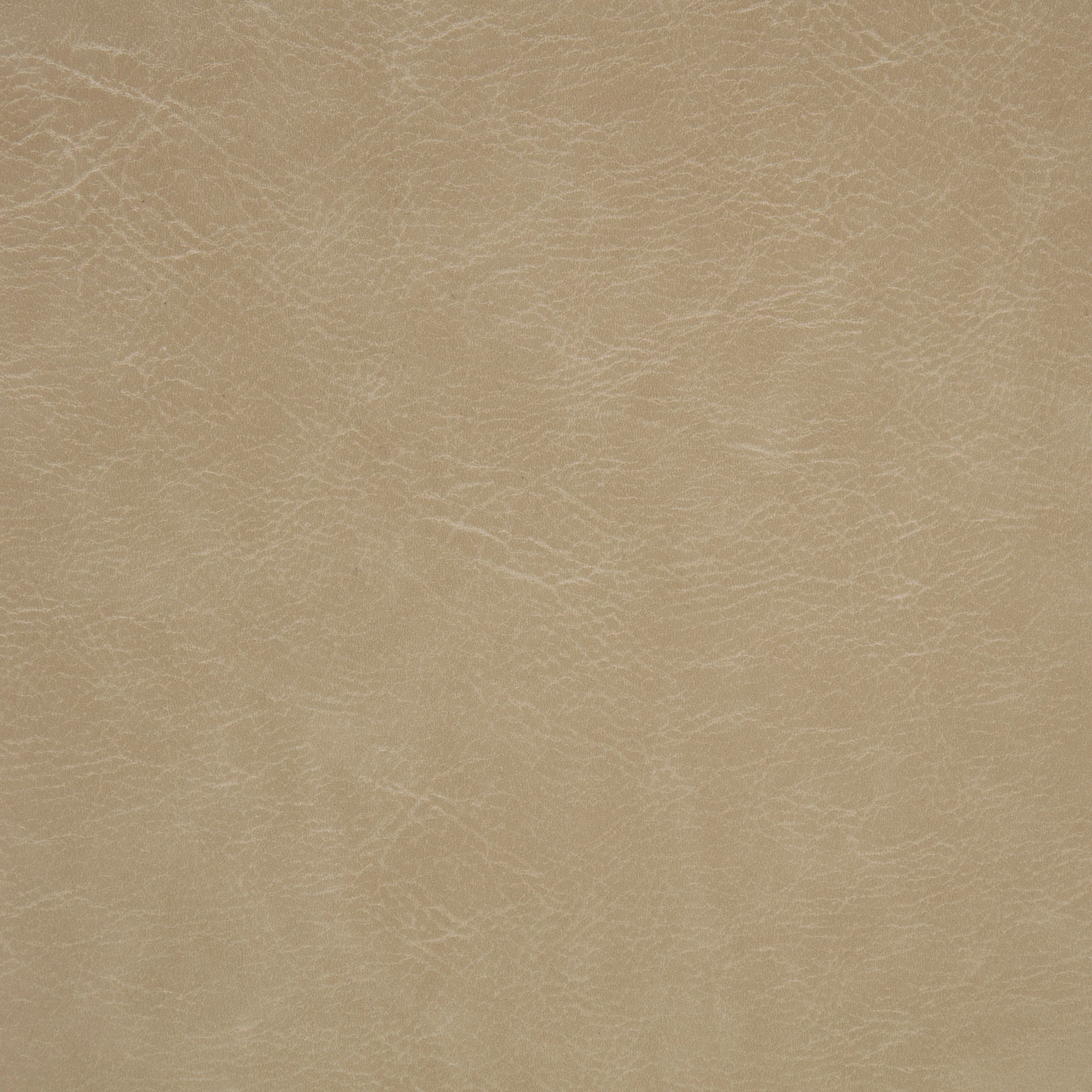Ortega Upholstered Dining Side Chair Tan (Set of 2) - Image 11