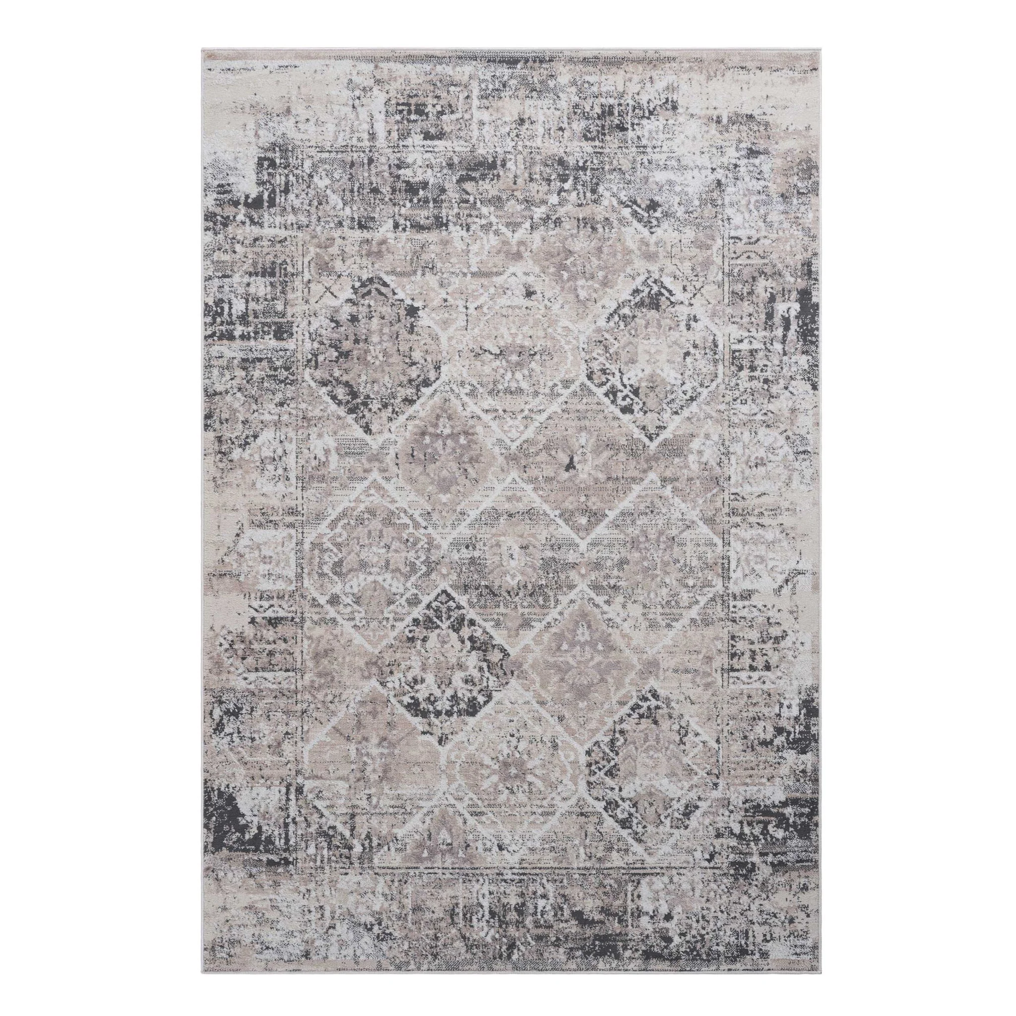 Payas - 6' X 9' Traditional Area Rug - Cream / Anthracite - Image 3