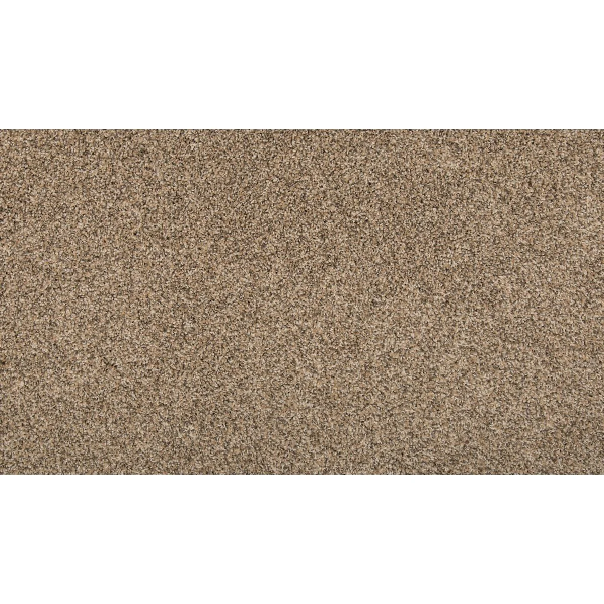 Renovate I Residential Broadloom Carpet Texture - Image 3