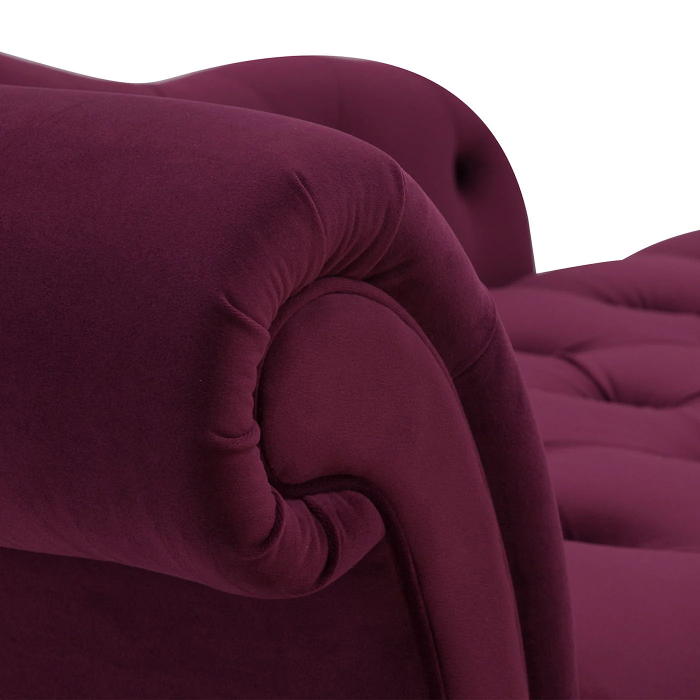 Samuel - Tufted Roll Arm Chaise Lounge - Image 22