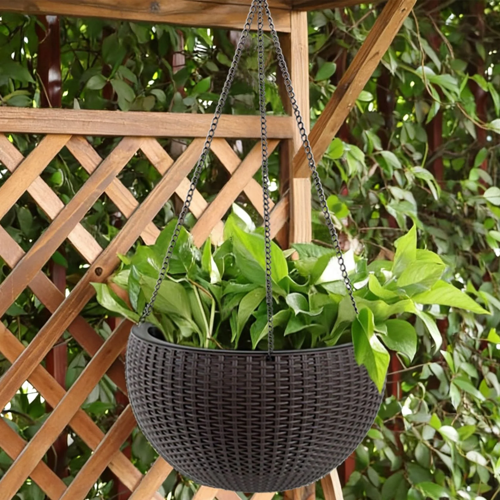 Self Watering Hanging Planter - Image 11