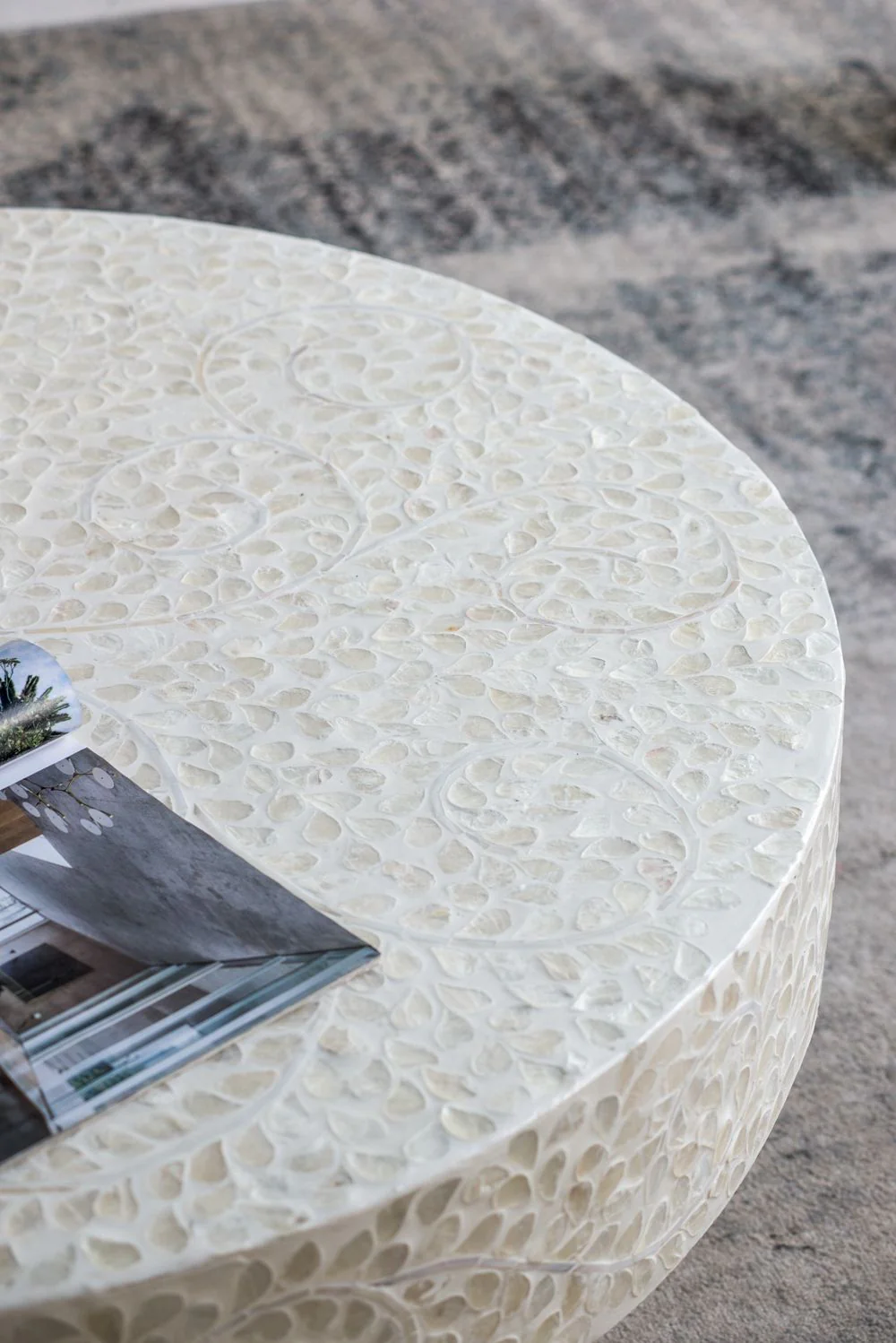 Unique Capiz Coffee Table & Pedestal Base - Image 18